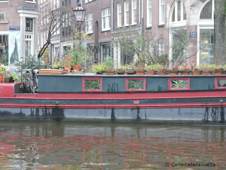 que ver en Amsterdam curiosidades