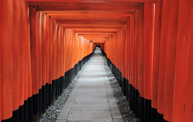 lugares que ver en Japón: Fushimi Inari, en Kyoto