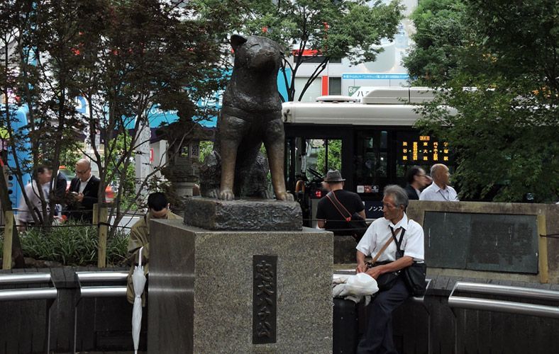 lugares que ver en Japón: estatua de Hachiko
