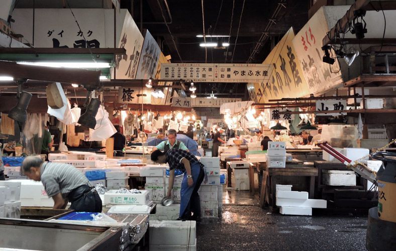 lugares que ver en Japón: mercado de Tsukiji, en Tokyo