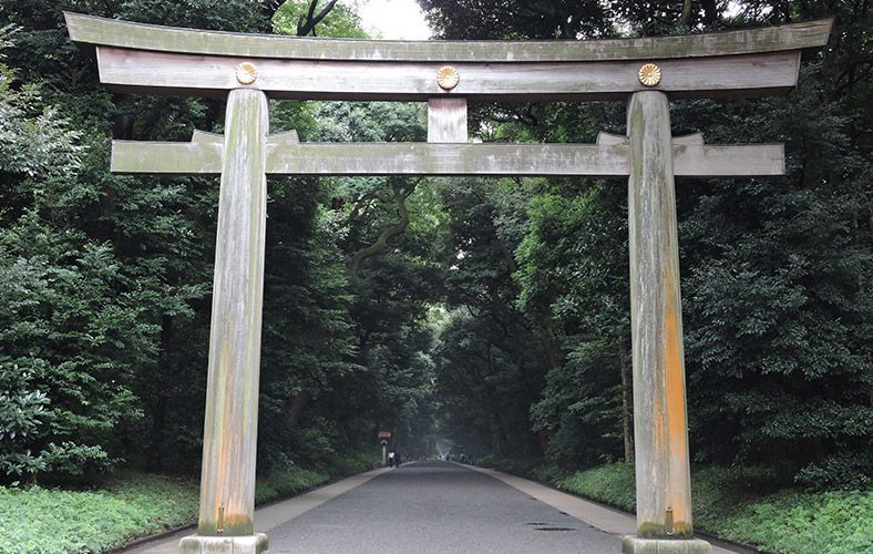 lugares que ver en Japón: Parque Yoyogi de Tokyo